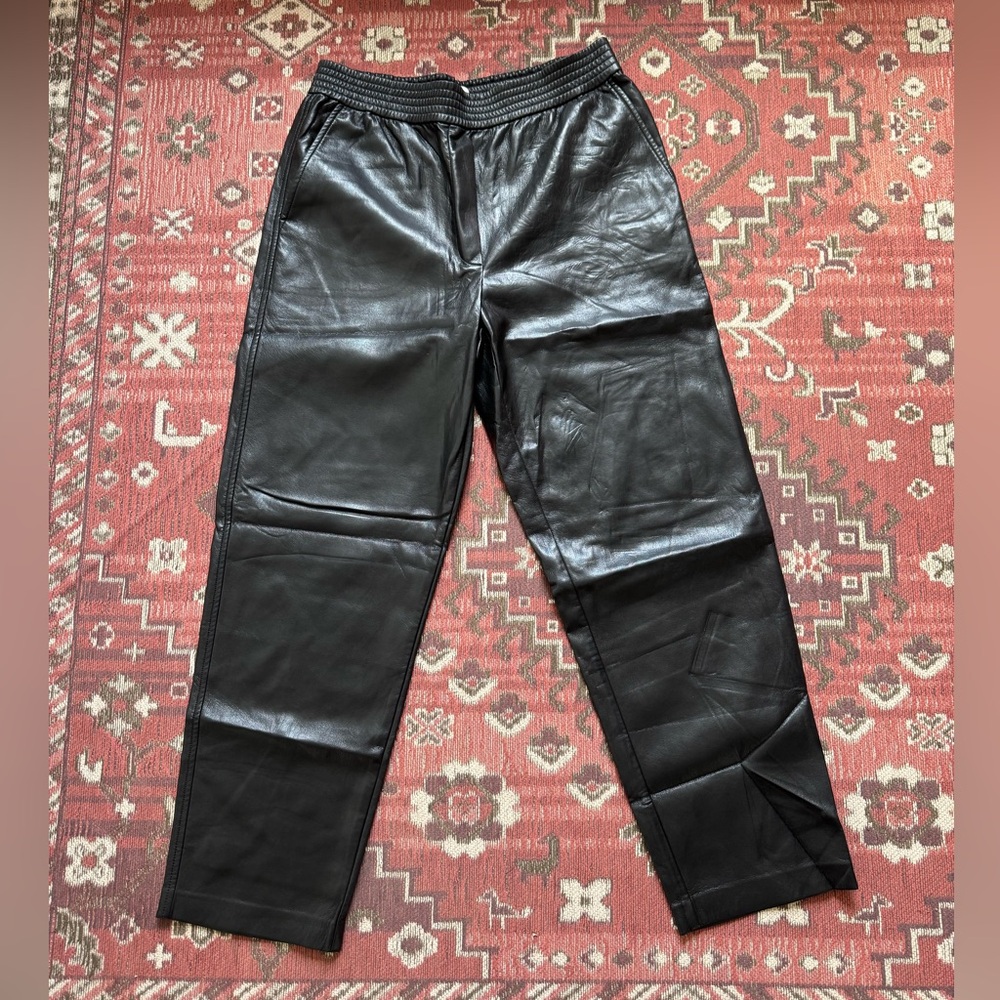 Aritzia Wilfred leather pants